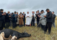 Новонежин ауылындағы тағылымдық жиын